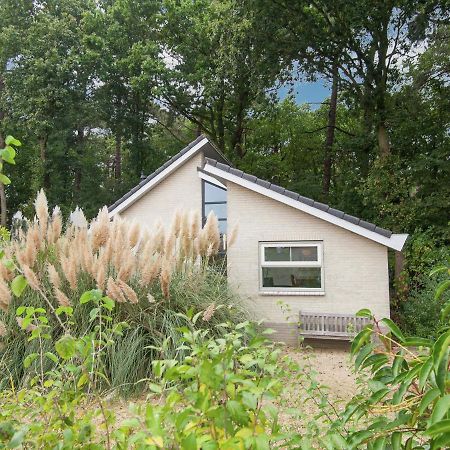 Elite Holiday Home In North Holland Near Forest Schoorl Zewnętrze zdjęcie
