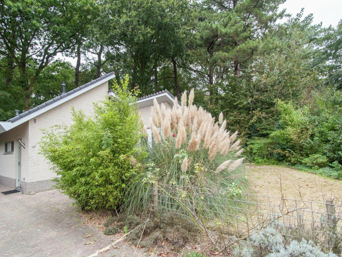 Elite Holiday Home In North Holland Near Forest Schoorl Zewnętrze zdjęcie